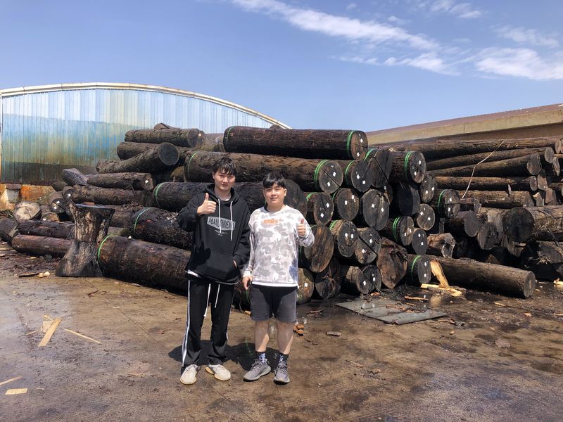 Dongguan Lingfeng Wood Industry Co., Ltd. خط إنتاج المصنع