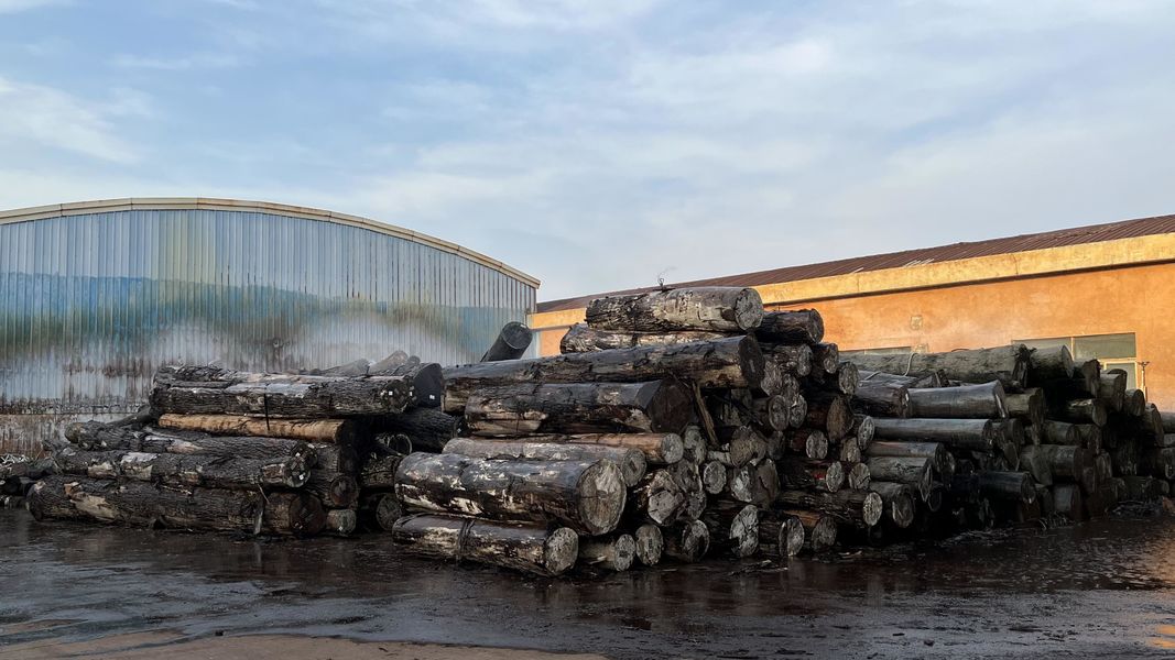 Dongguan Lingfeng Wood Industry Co., Ltd. خط إنتاج المصنع