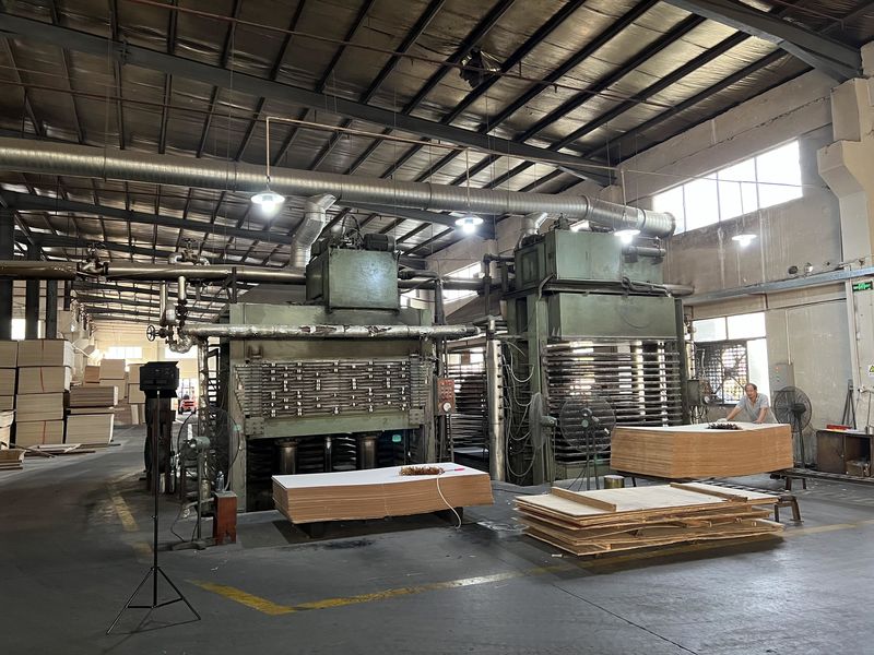 Dongguan Lingfeng Wood Industry Co., Ltd. خط إنتاج المصنع