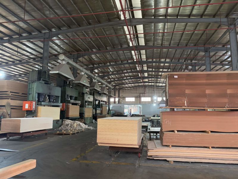 Dongguan Lingfeng Wood Industry Co., Ltd. خط إنتاج المصنع