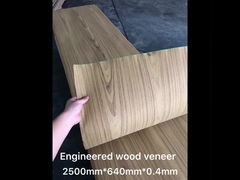 متعدد الطبقات غير سامة جدار قشرة الخشب ، مويستوريبروف متعدد الطبقات الخشب الرقائقي