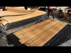 القطع التاجية من قشرة التيك